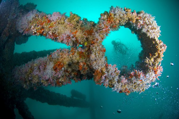 Underwater World 12 Art Print
