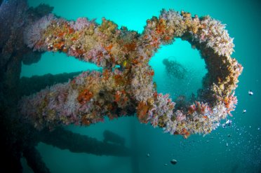 Underwater World 13