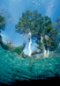Underwater Photography