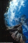 Underwater Photography