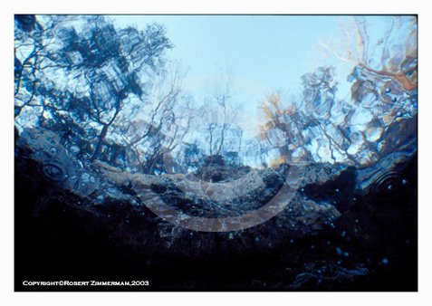 Aquatic Landscapes 12 Art Print