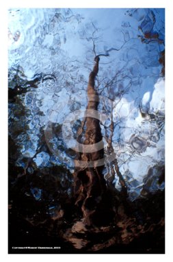 Aquatic Landscapes 3