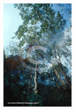 Aquatic Landscapes 4