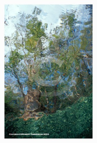 Aquatic Landscapes 5 Art Print