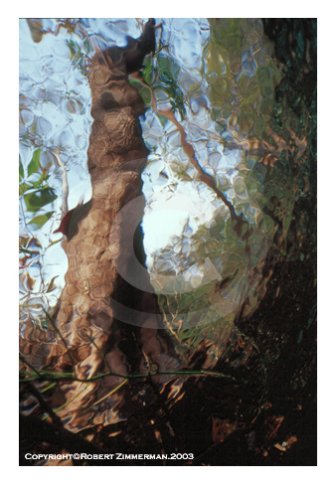 Aquatic Landscapes 8 Art Print