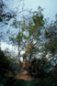 Underwater Photography