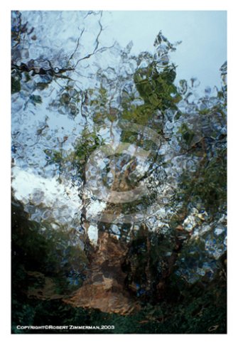 Aquatic Landscapes 9 Art Print