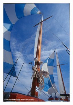 Bay Boats 5