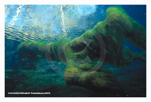 Nature's Best 6 Art Print