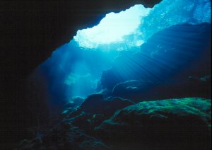 Peacock Springs Underwater Photo