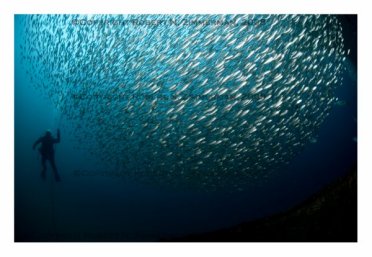 Underwater World 6