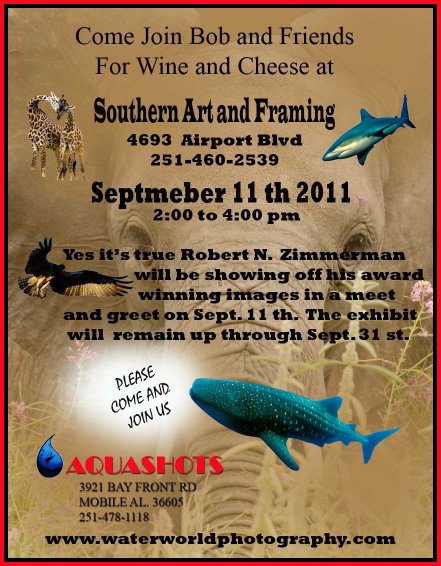 Southern Art and Framing Show