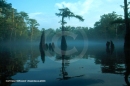 Morrison Springs, Florida