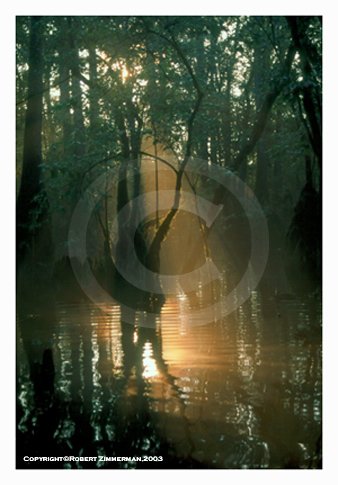 Morrison Springs 2 Art Print