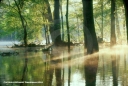 Springs Photograph