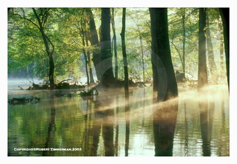 Ginnie Springs 1 Art Print