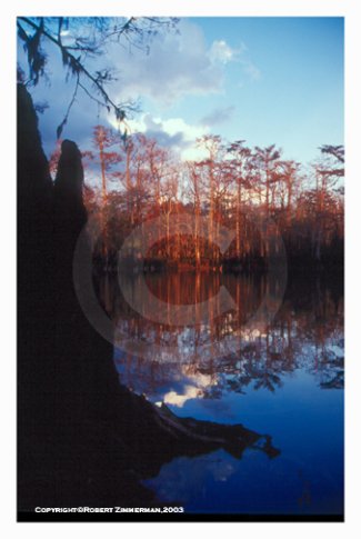 Springs 7 Art Print