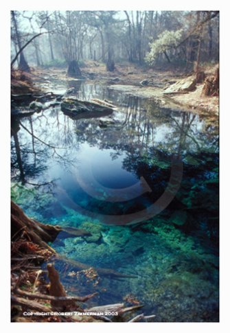 Peacock Springs, Florida, Art Print