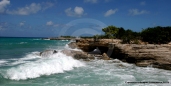 Tropics Photo