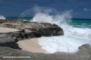 Tropics Photo
