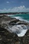 Tropics Photo