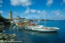 Tropics Photo