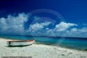 Tropics Photo
