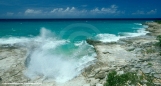Tropics Photo