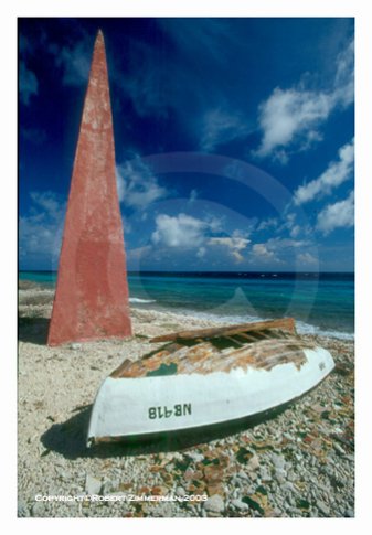 Tropics 5 Art Print