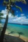 Tropics Photo