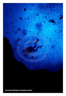 Morrison Springs Underwater 1