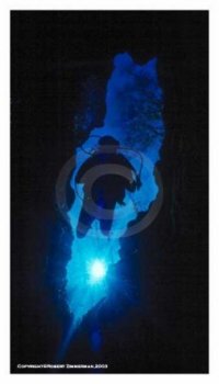Ginnie Springs Underwater 1