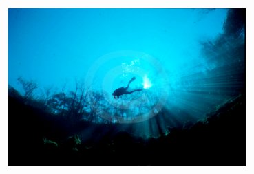 Troy Springs Underwater