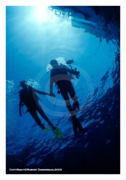 Underwater World 10
