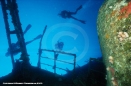 Underwater Photography - Tropics
