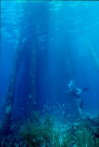 Salt Pier