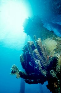 Salt Pier