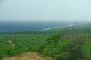 View from Mountainside