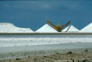 Solar Salt Works