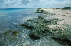 Vista Blue Dive Site