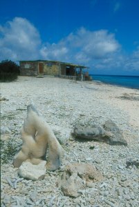 Atlantis Dive Site