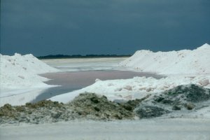 Solar Salt Fields