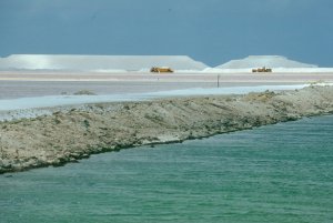 Solar Salt Fields