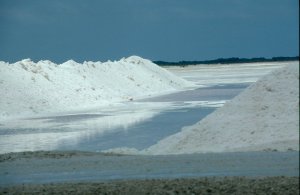 Solar Salt Fields