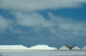 Solar Salt Fields