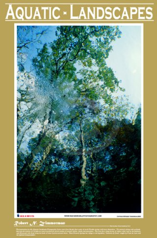 Aquatic Landscapes Poster