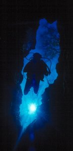 Little Devil's Eye Spring Diver Underwater Photo
