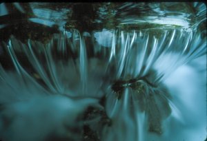 Waterfall Photograph