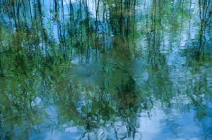 Underwater Photography