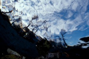 Underwater Photography